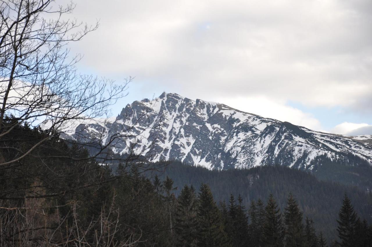 Willa Bystry, Pod Nosalem Zakopane Exterior foto